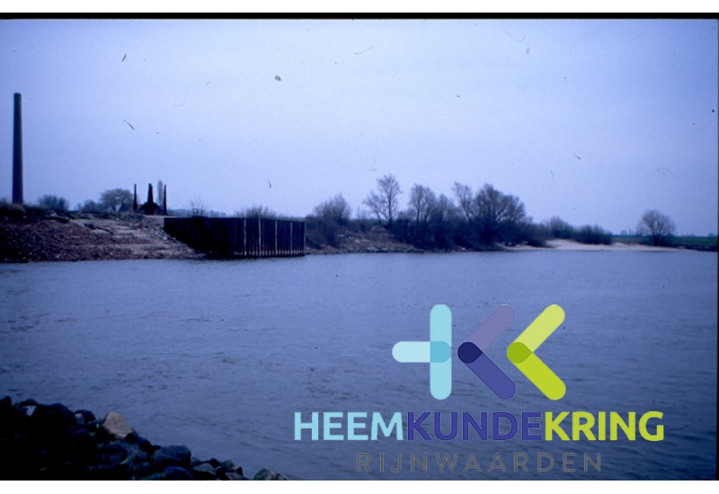 Vliegenwaard F00002603